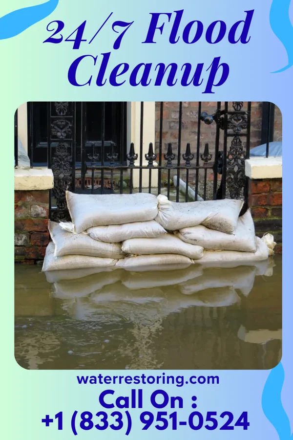 24/7 Flood Cleanup in Junction, IL
