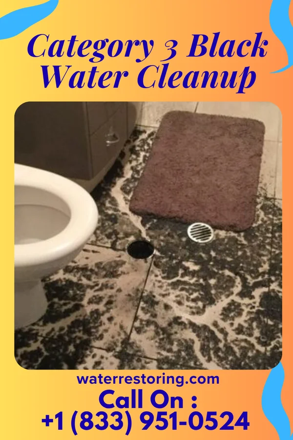 Category 3 Black Water Cleanup in Junction, IL