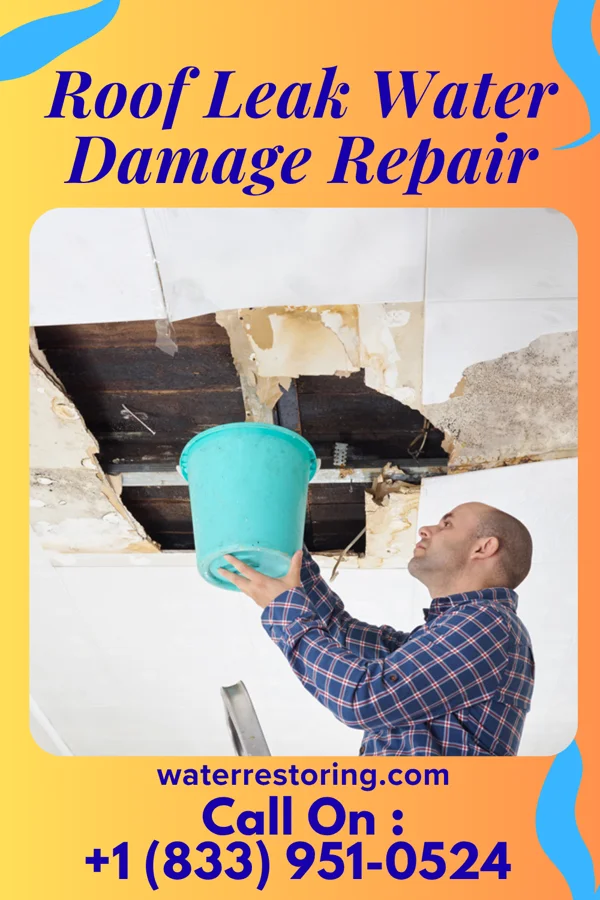 Roof Leak Water Damage Repair in Junction, IL