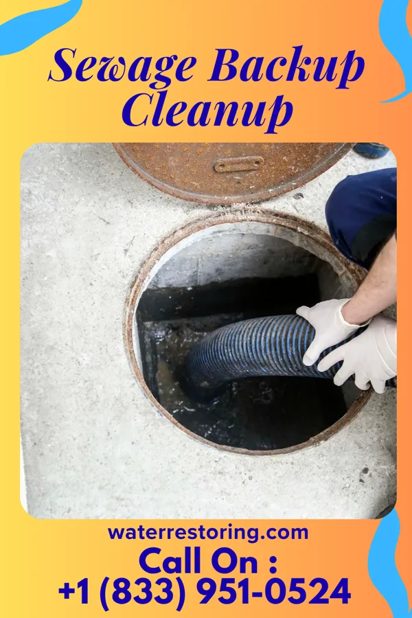 Sewage Backup Cleanup in Junction, IL